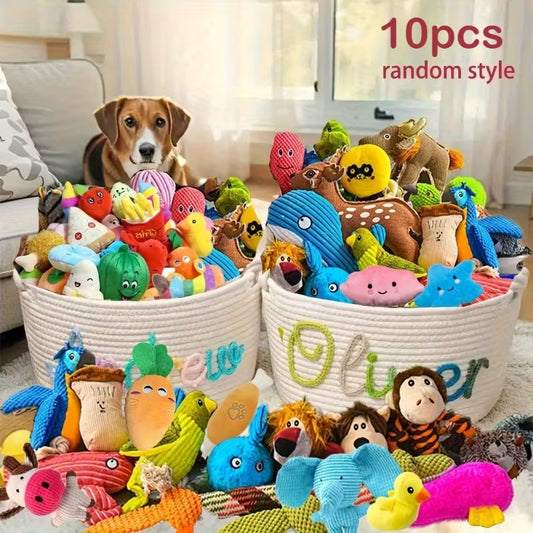 10/20pcs Bite-Resistant Dog Toy Set with Squeakers