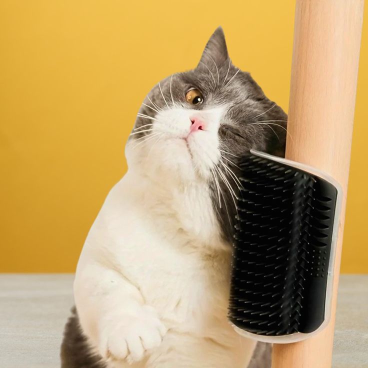 PetParent SelfCare™ Groomer