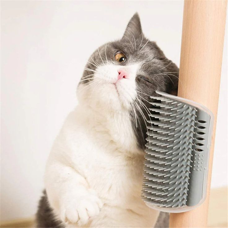 PetParent SelfCare™ Groomer