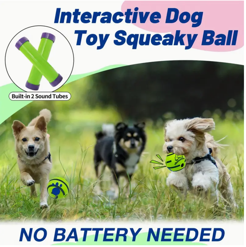 PetParent PlayMate™ Ball