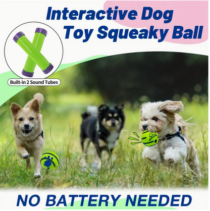 PetParent PlayMate™ Ball