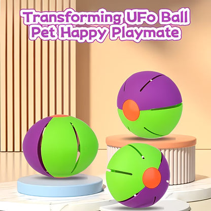 Magic UFO Bounce Ball™ – The Toy Dogs Go Crazy For