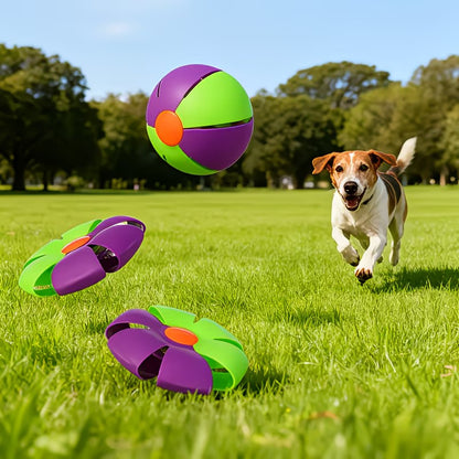 Magic UFO Bounce Ball™ – The Toy Dogs Go Crazy For