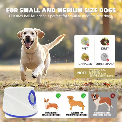 Automatic Dog Ball Launcher – Hands-Free Fetch & Endless Playtime