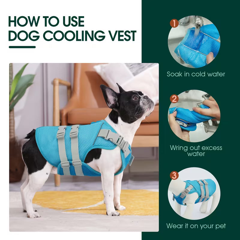 Evaporative Cooling Vest for Dogs – Instant Heat Relief for Summer Walks