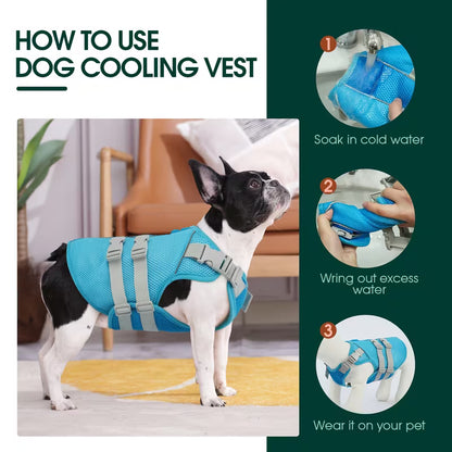 Evaporative Cooling Vest for Dogs – Instant Heat Relief for Summer Walks