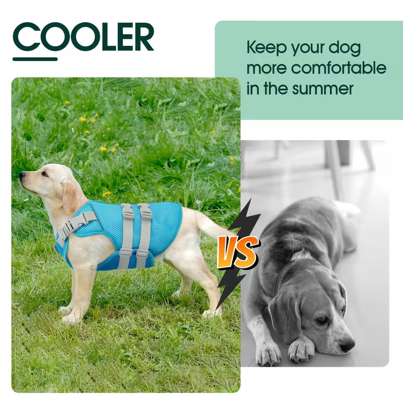 Evaporative Cooling Vest for Dogs – Instant Heat Relief for Summer Walks