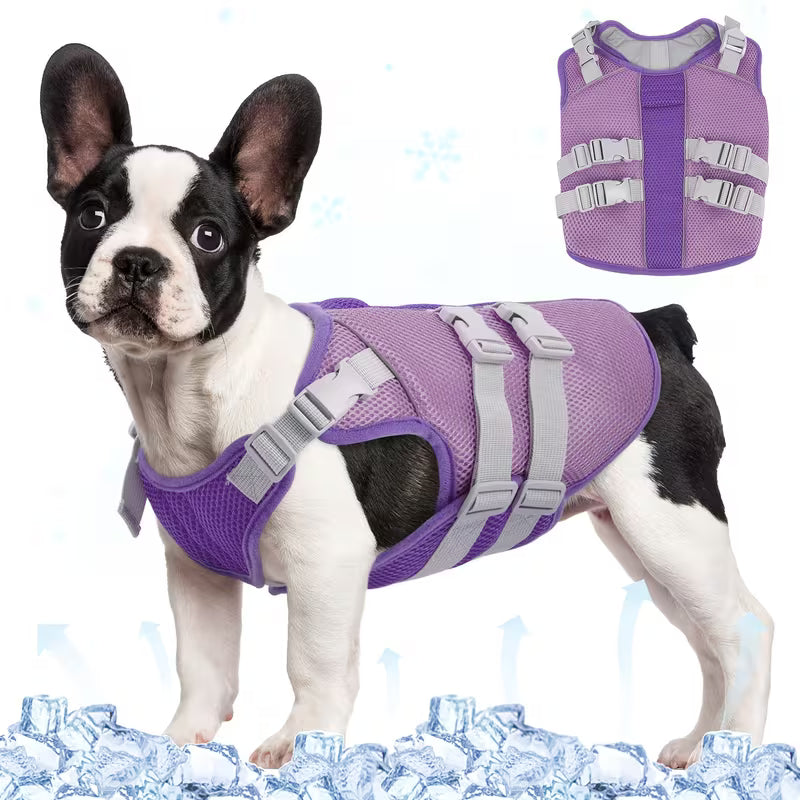Evaporative Cooling Vest for Dogs – Instant Heat Relief for Summer Walks