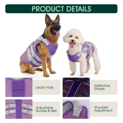 Evaporative Cooling Vest for Dogs – Instant Heat Relief for Summer Walks