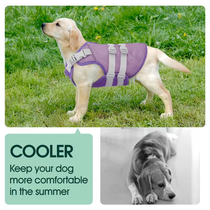 Evaporative Cooling Vest for Dogs – Instant Heat Relief for Summer Walks