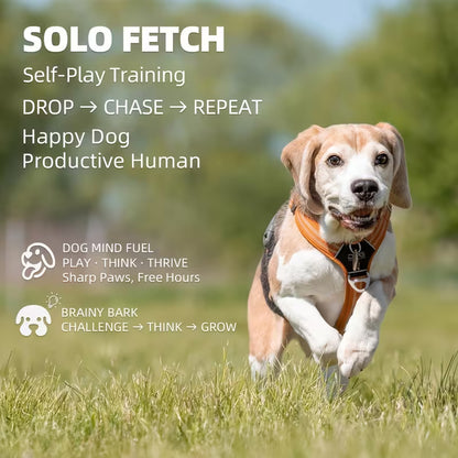 Automatic Dog Ball Launcher – Hands-Free Fetch & Endless Playtime