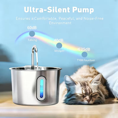 Water Fountain – 20% OFF Today!
