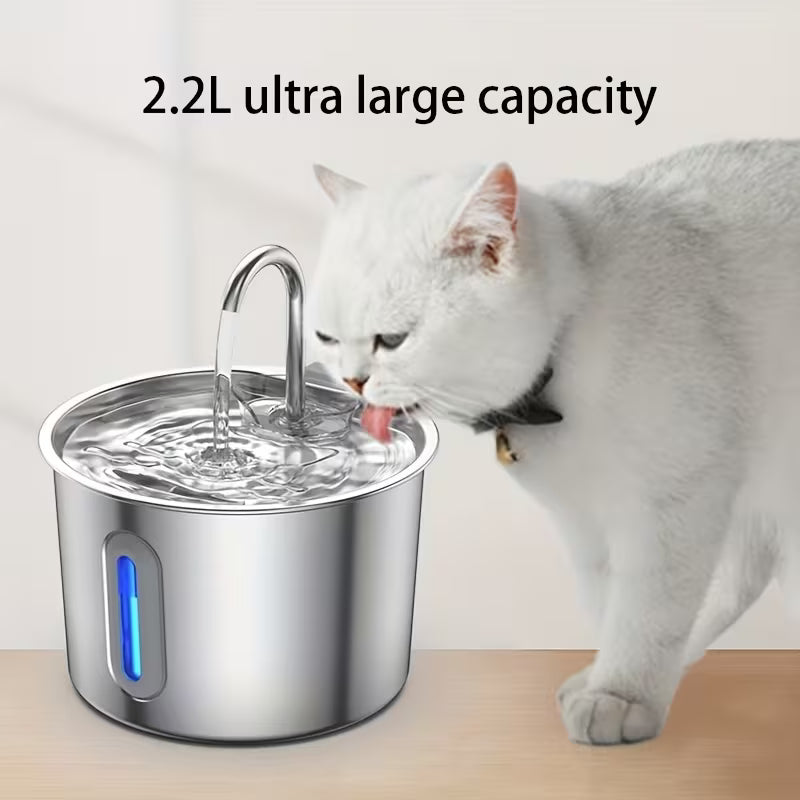 Water Fountain – 20% OFF Today!