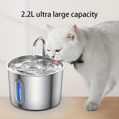 Water Fountain – 20% OFF Today!