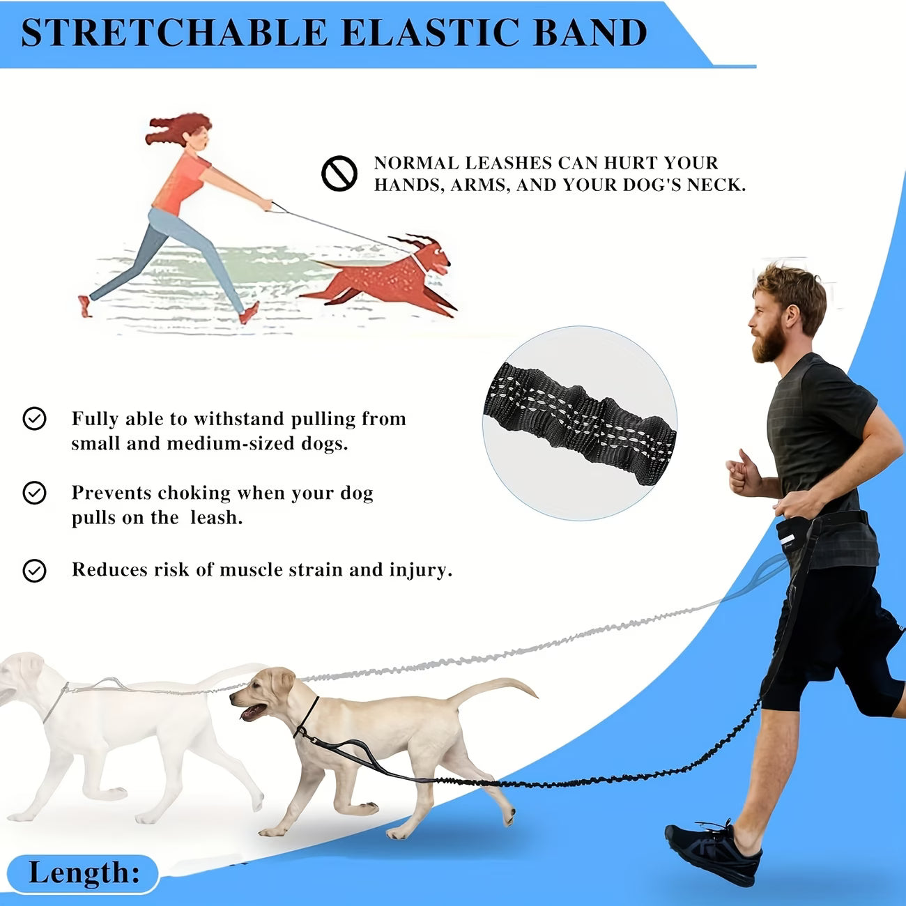 Hands-Free Dog Walking Belt & Bungee Leash
