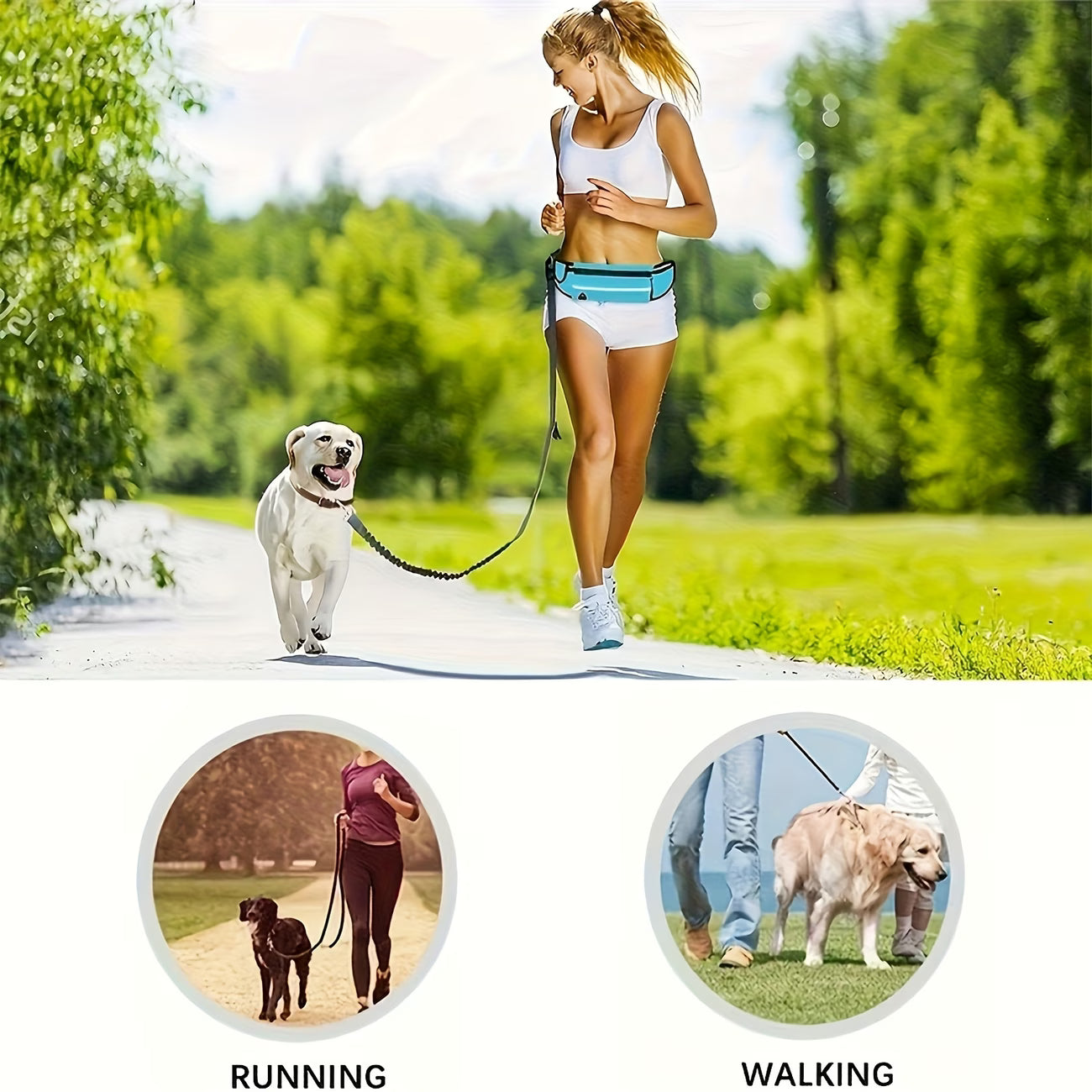 Hands-Free Dog Walking Belt & Bungee Leash