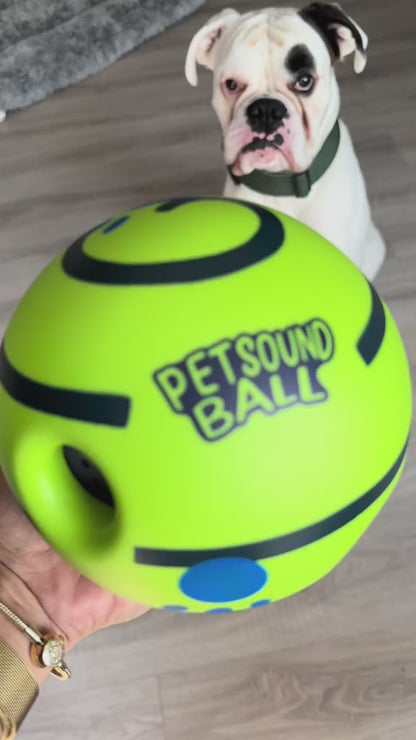 PetParent PlayMate™ Ball
