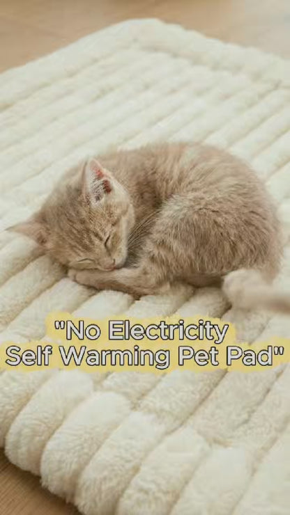 Winter Warm Pet Bed Mat – Thick Plush Comfort for Cats & Dogs