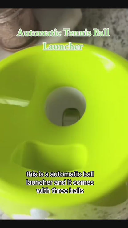 Automatic Dog Ball Launcher – Hands-Free Fetch & Endless Playtime